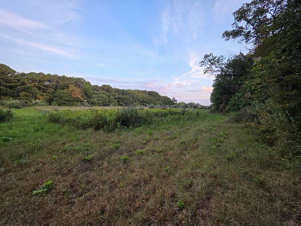 10 Acres of Recreational & Residential Land for Sale in Fairfield, Illinois