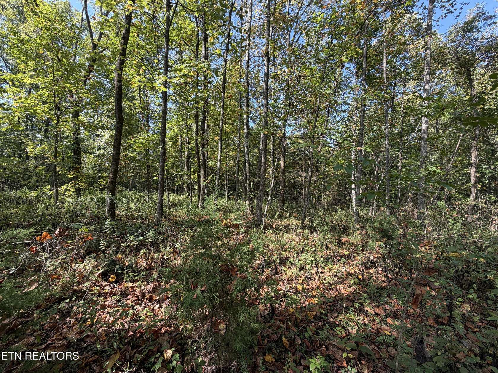 22.4 Acres of Land for Sale in Allardt, Tennessee
