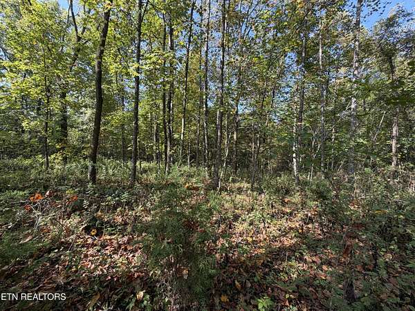 22.4 Acres of Land for Sale in Allardt, Tennessee