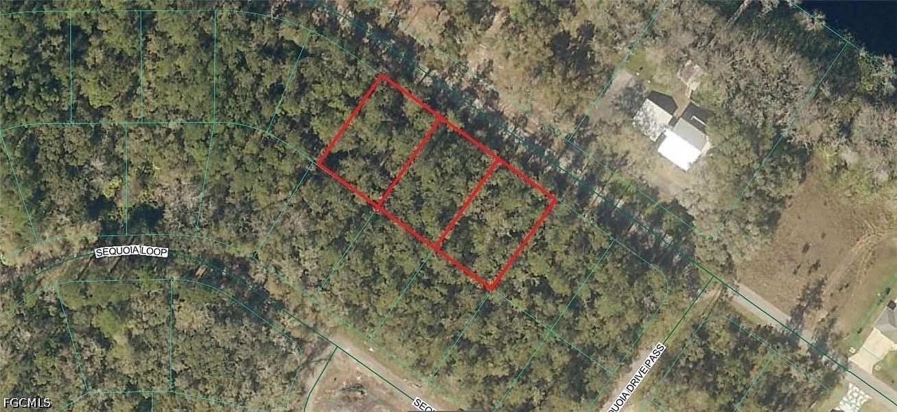 0.96 Acres of Land for Sale in Ocklawaha, Florida