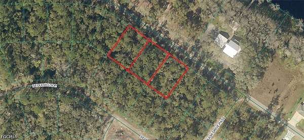 0.96 Acres of Land for Sale in Ocklawaha, Florida