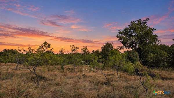 10 Acres of Land for Sale in Gustine, Texas