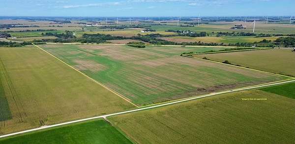 141 Acres of Agricultural Land for Auction in Dexter, Minnesota