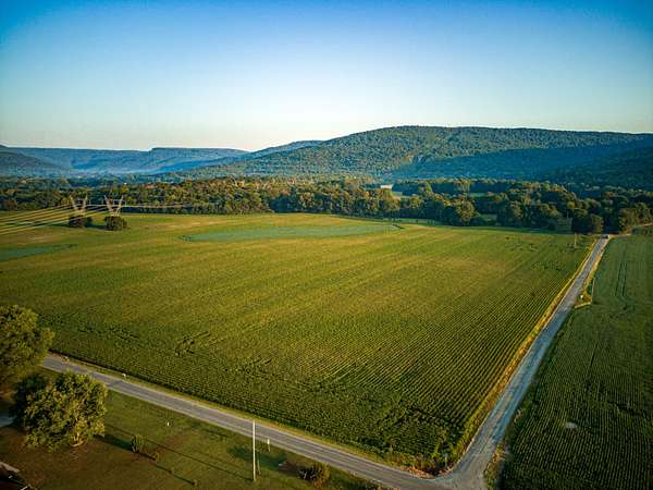 876 Acres of Land for Sale in Fackler, Alabama