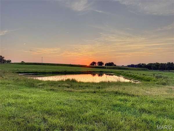 Land for Sale in Bowling Green, Missouri