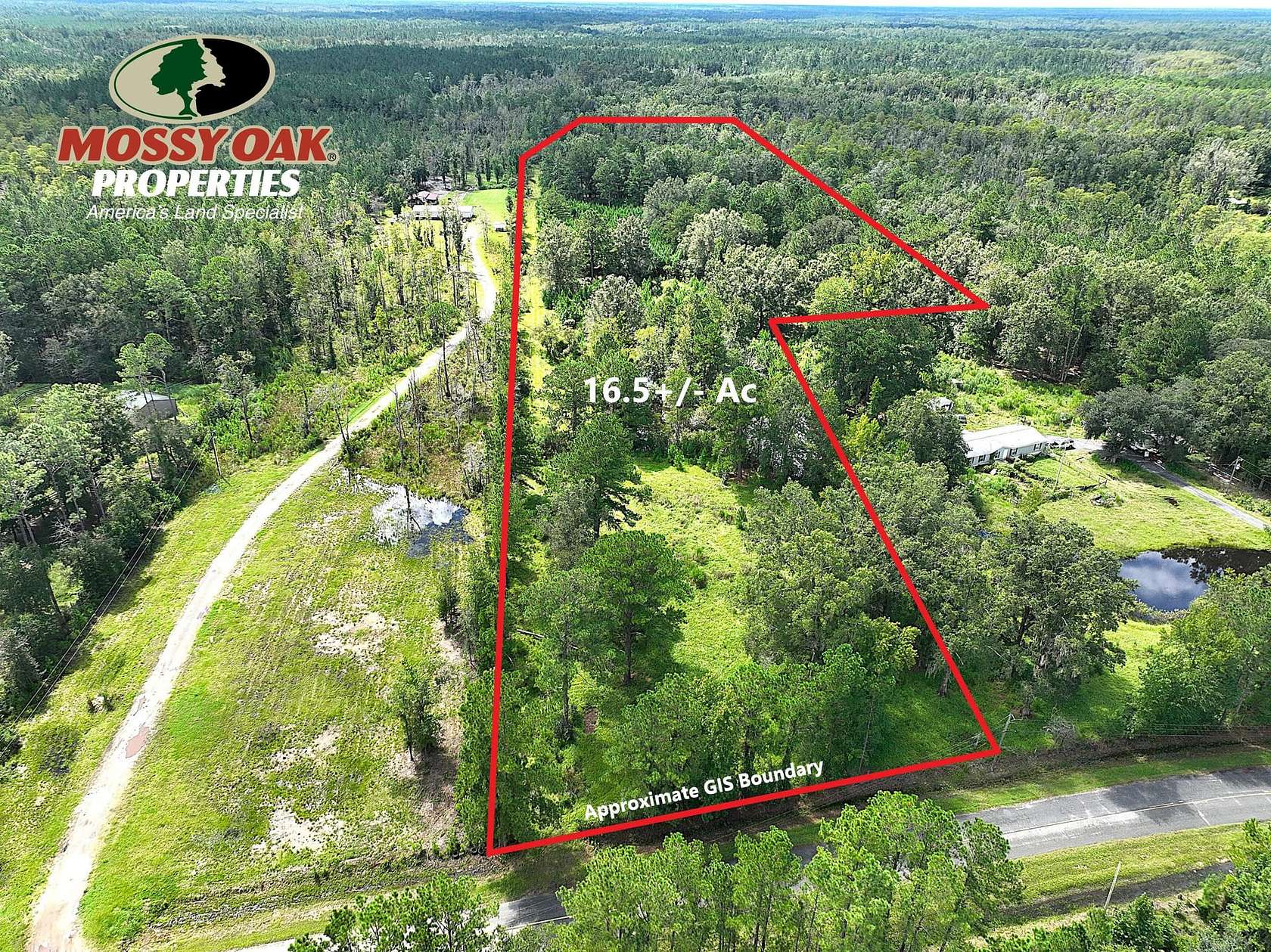 16.5 Acres of Recreational Land for Sale in Brunswick, Georgia