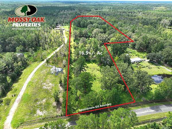16.5 Acres of Recreational Land for Sale in Brunswick, Georgia
