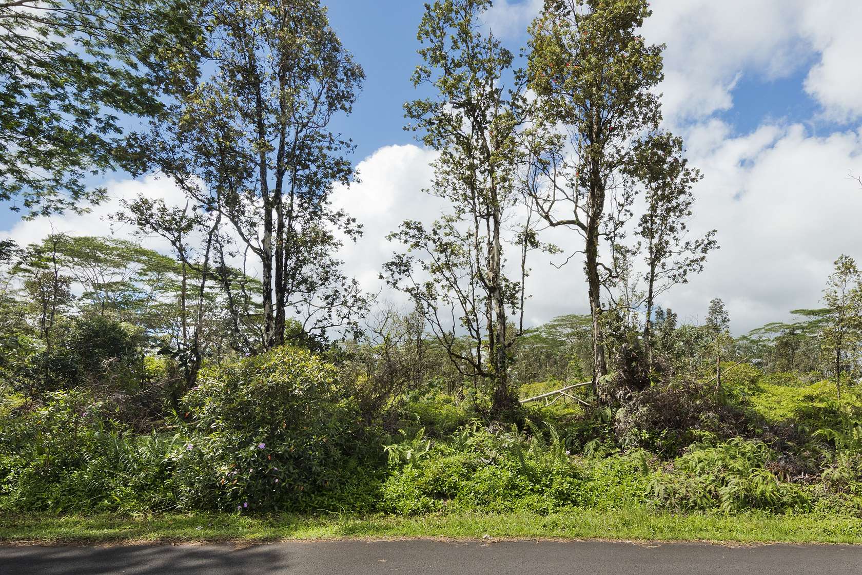 1 Acre of Land for Sale in Keaau, Hawaii