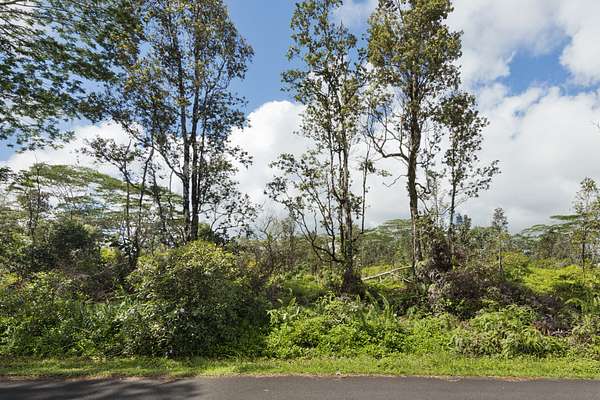 1 Acre of Land for Sale in Keaau, Hawaii