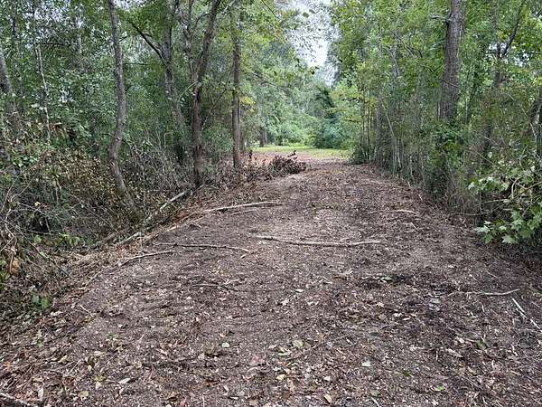 5 Acres of Land for Sale in Buna, Texas