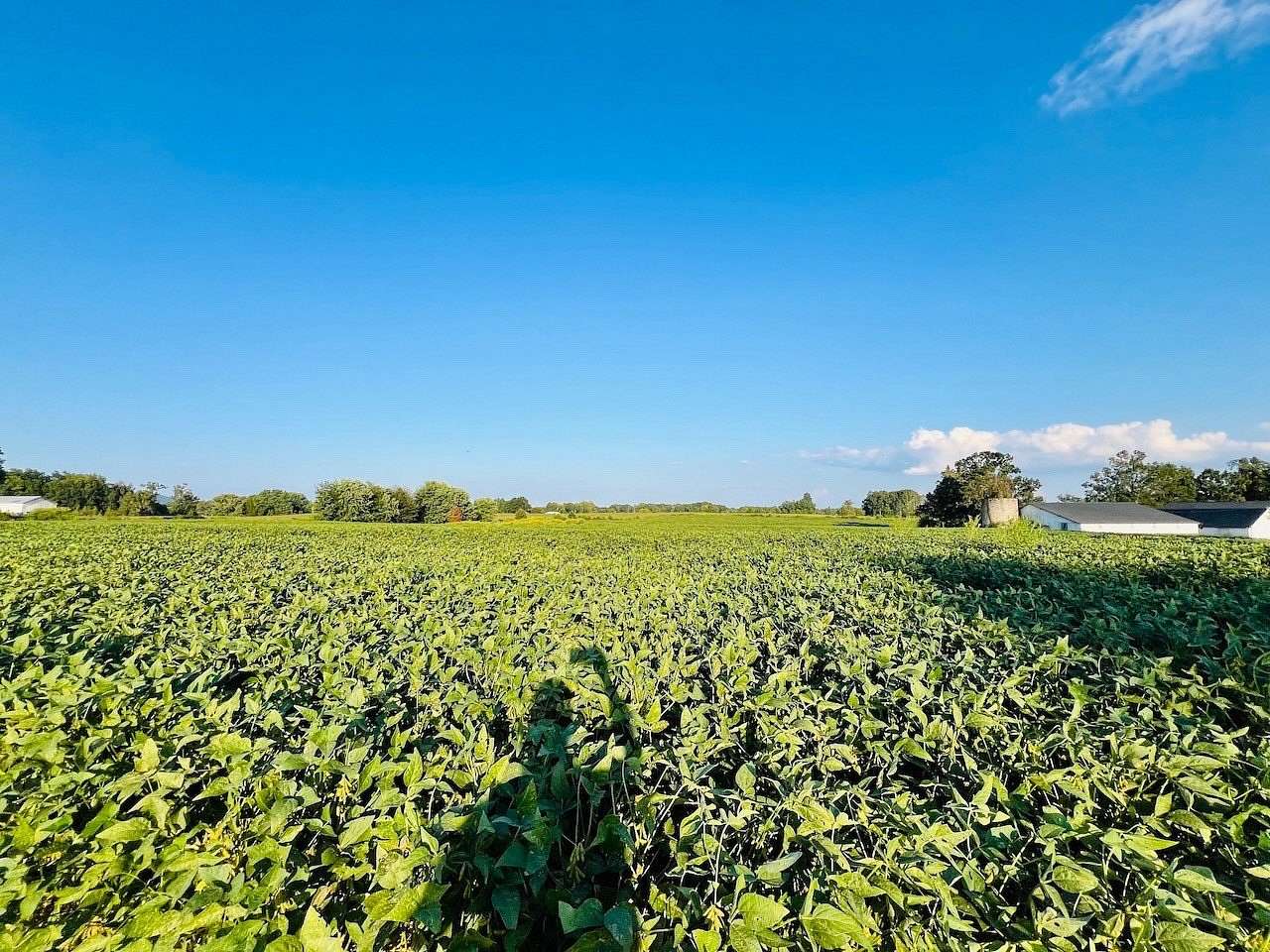 4.44 Acres of Land for Auction in Windsor, Kentucky