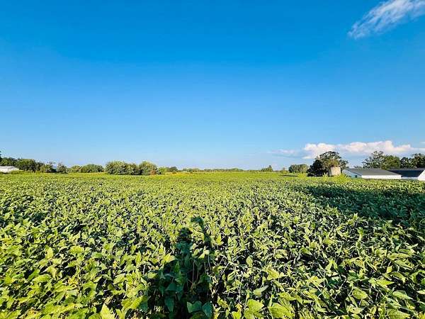 4.44 Acres of Land for Auction in Windsor, Kentucky