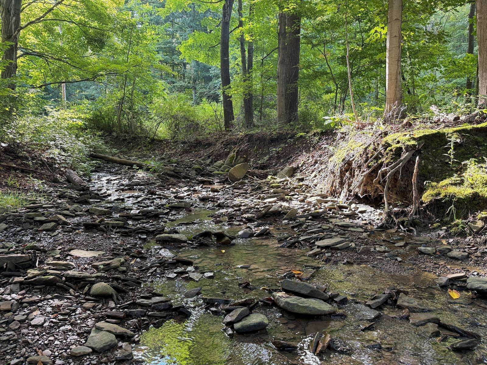2.45 Acres of Land for Sale in McKean, Pennsylvania
