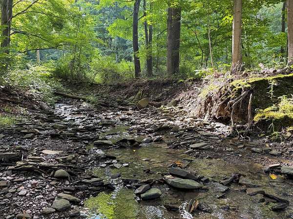 2.45 Acres of Land for Sale in McKean, Pennsylvania