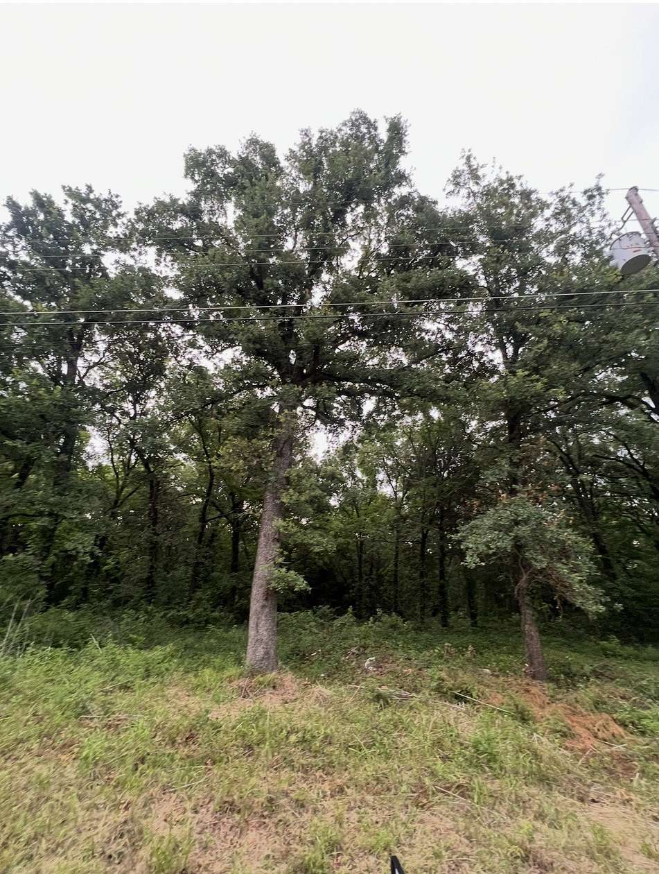 0.14 Acres of Residential Land for Sale in Mabank, Texas