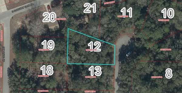 0.24 Acres of Residential Land for Sale in Williston, Florida