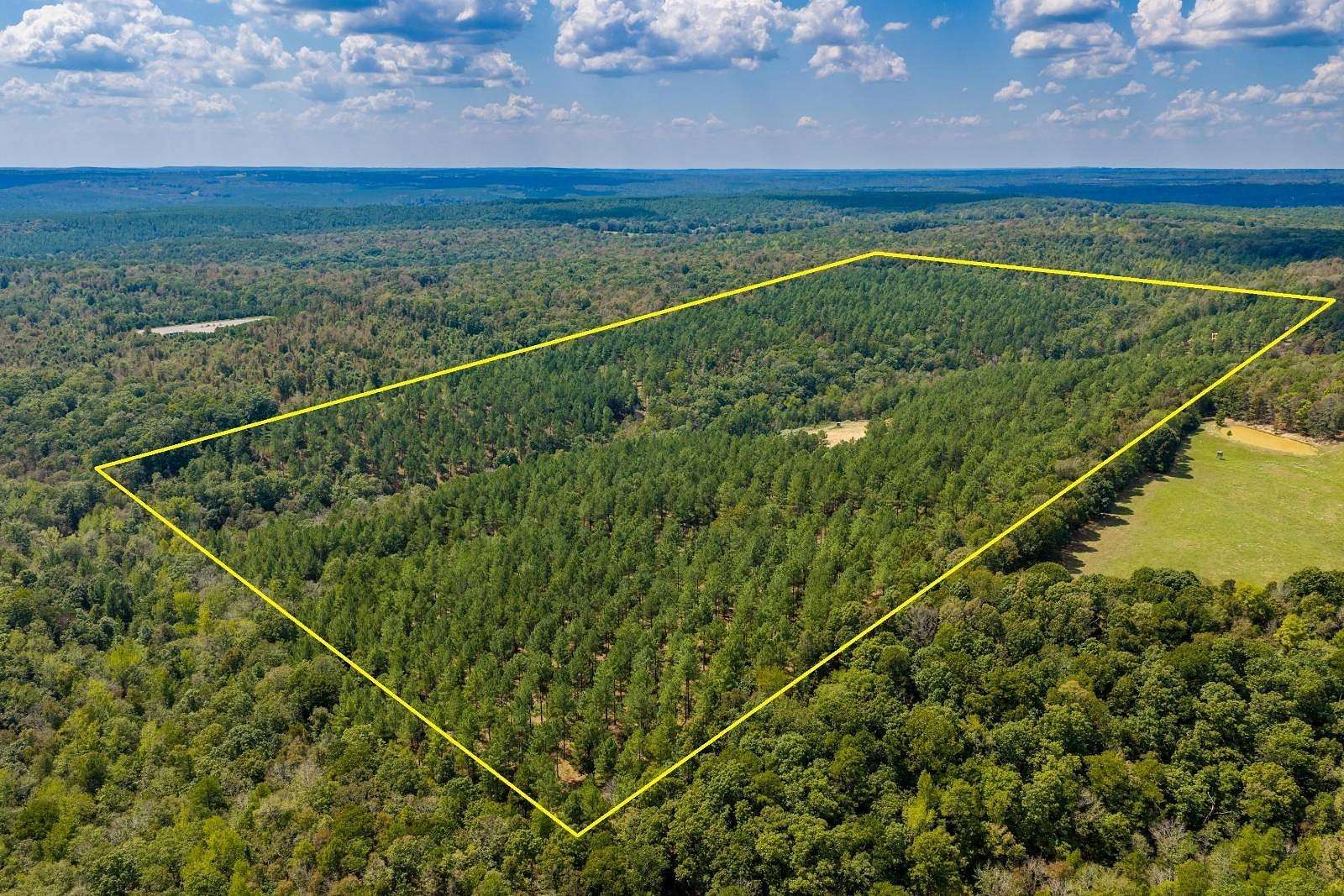 84 Acres of Recreational & Residential Land for Auction in Heber Springs, Arkansas