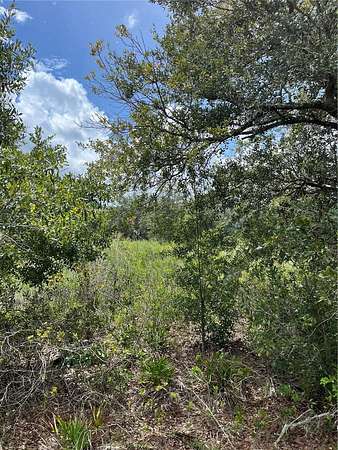 1.25 Acres of Residential Land for Sale in Okeechobee, Florida