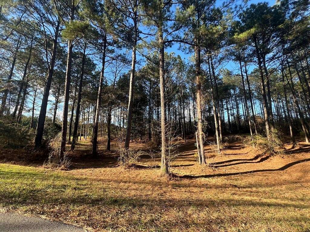 1.47 Acres of Residential Land for Sale in Laurel, Mississippi
