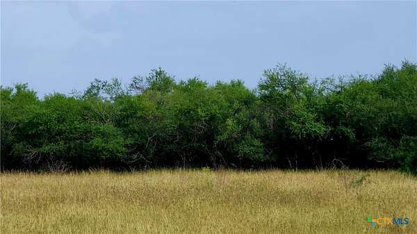 10 Acres of Land for Sale in Victoria, Texas