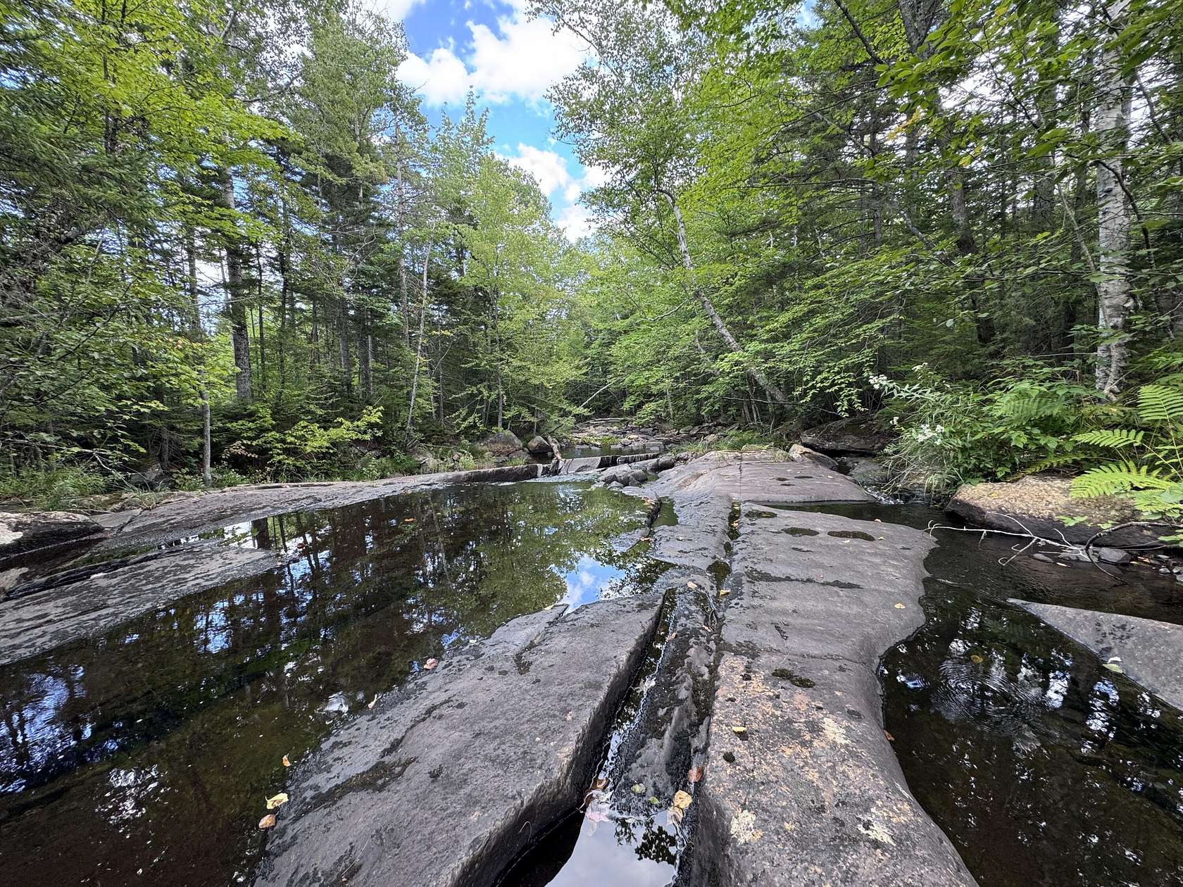 30.6 Acres of Recreational Land for Sale in Sandy River Plantation, Maine