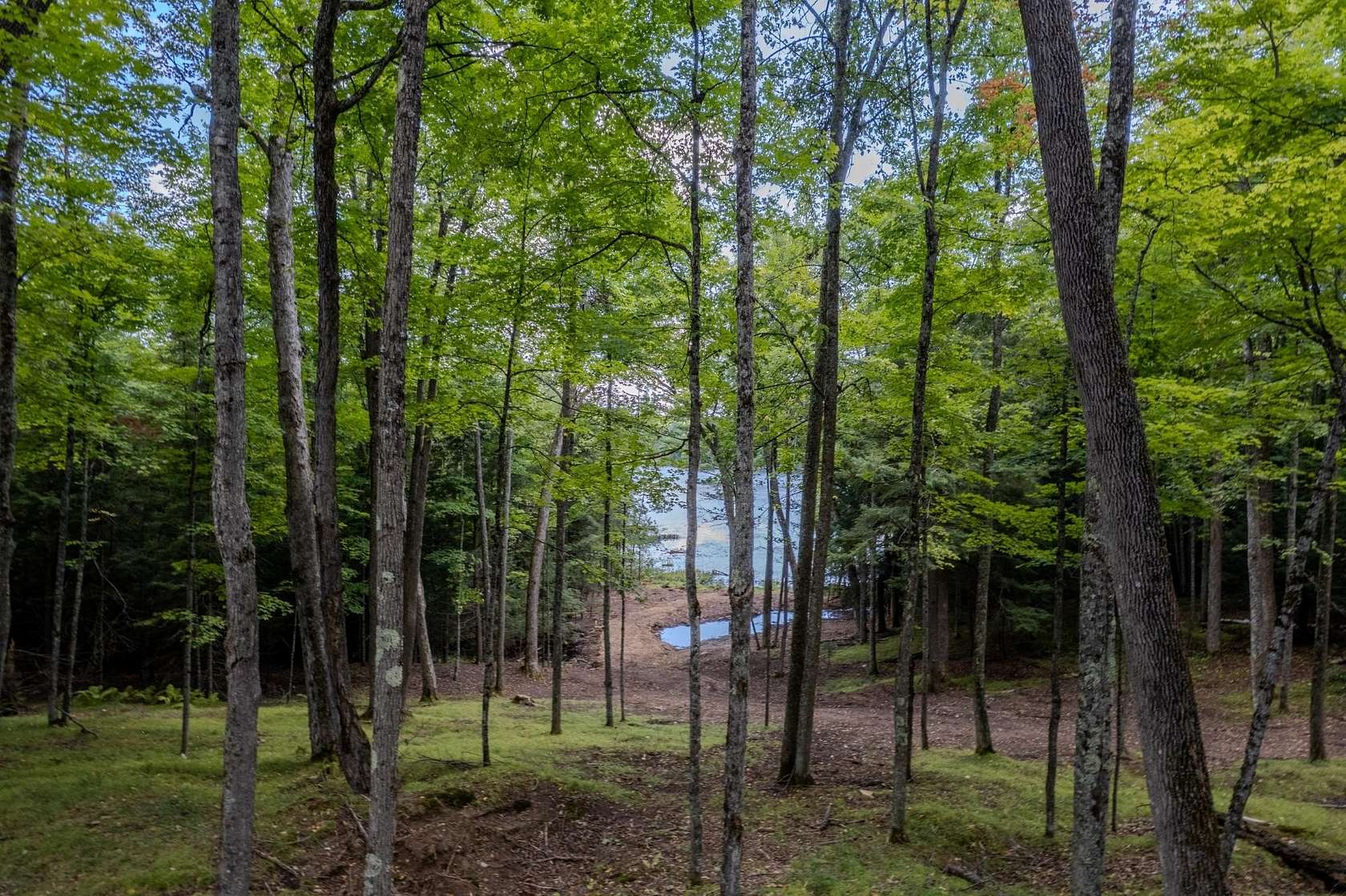 3.52 Acres of Residential Land for Sale in Harshaw, Wisconsin