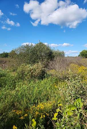 9.3 Acres of Residential Land for Sale in Le Roy, Michigan
