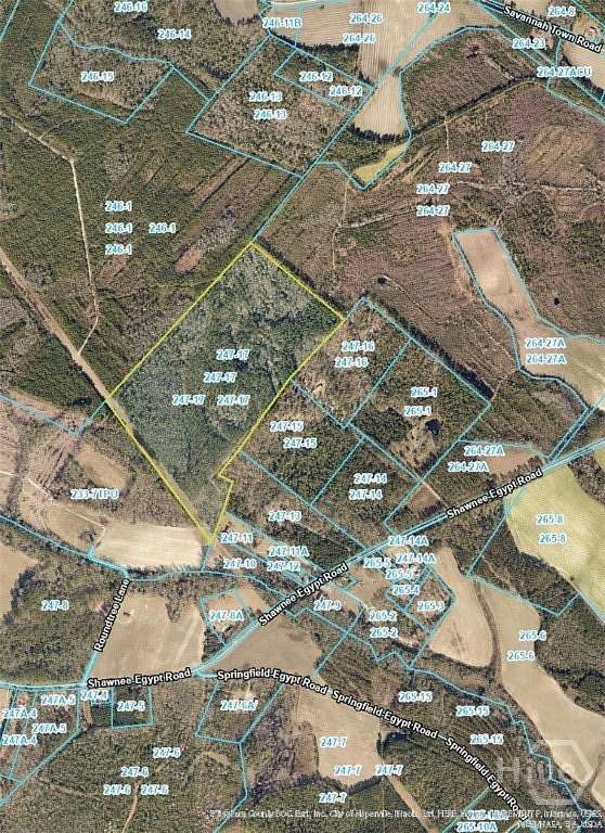 95.4 Acres of Land for Sale in Springfield, Georgia