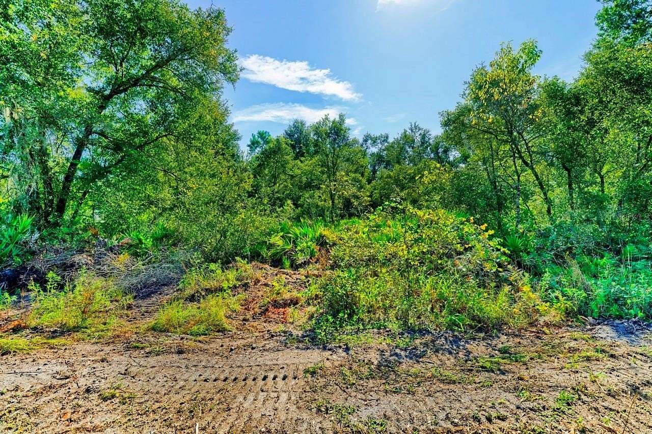 0.62 Acres of Residential Land for Sale in Webster, Florida