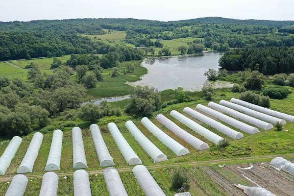 13.8 Acres of Land for Sale in Madison, New York