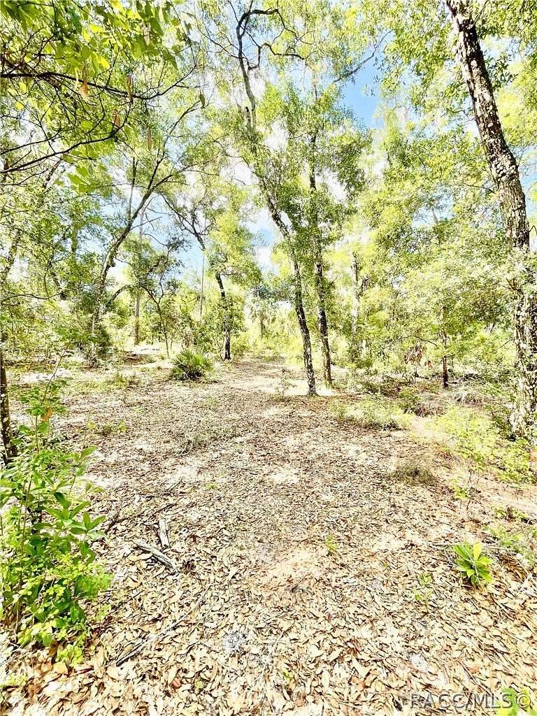 1 Acre of Residential Land for Sale in Inverness, Florida