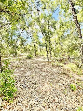 1 Acre of Residential Land for Sale in Inverness, Florida