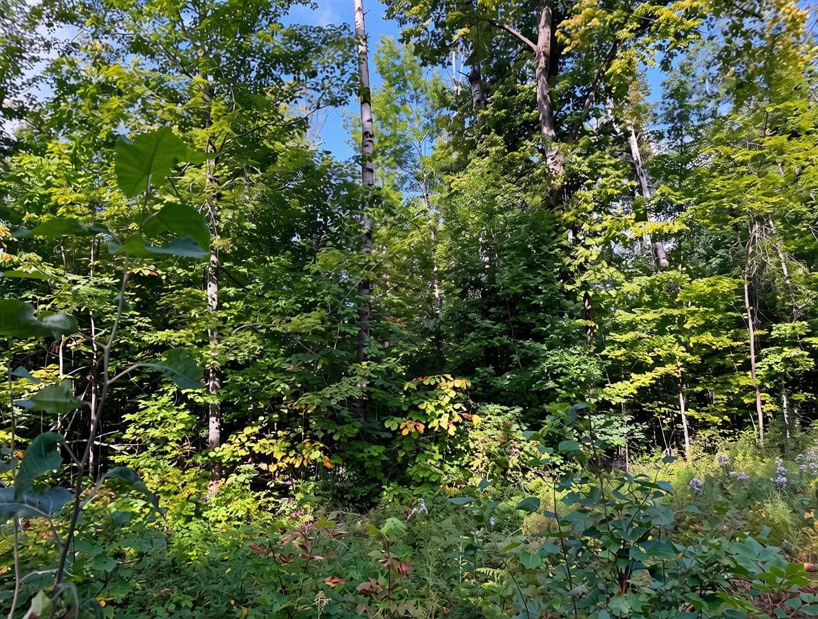 0.45 Acres of Residential Land for Sale in Brutus, Michigan