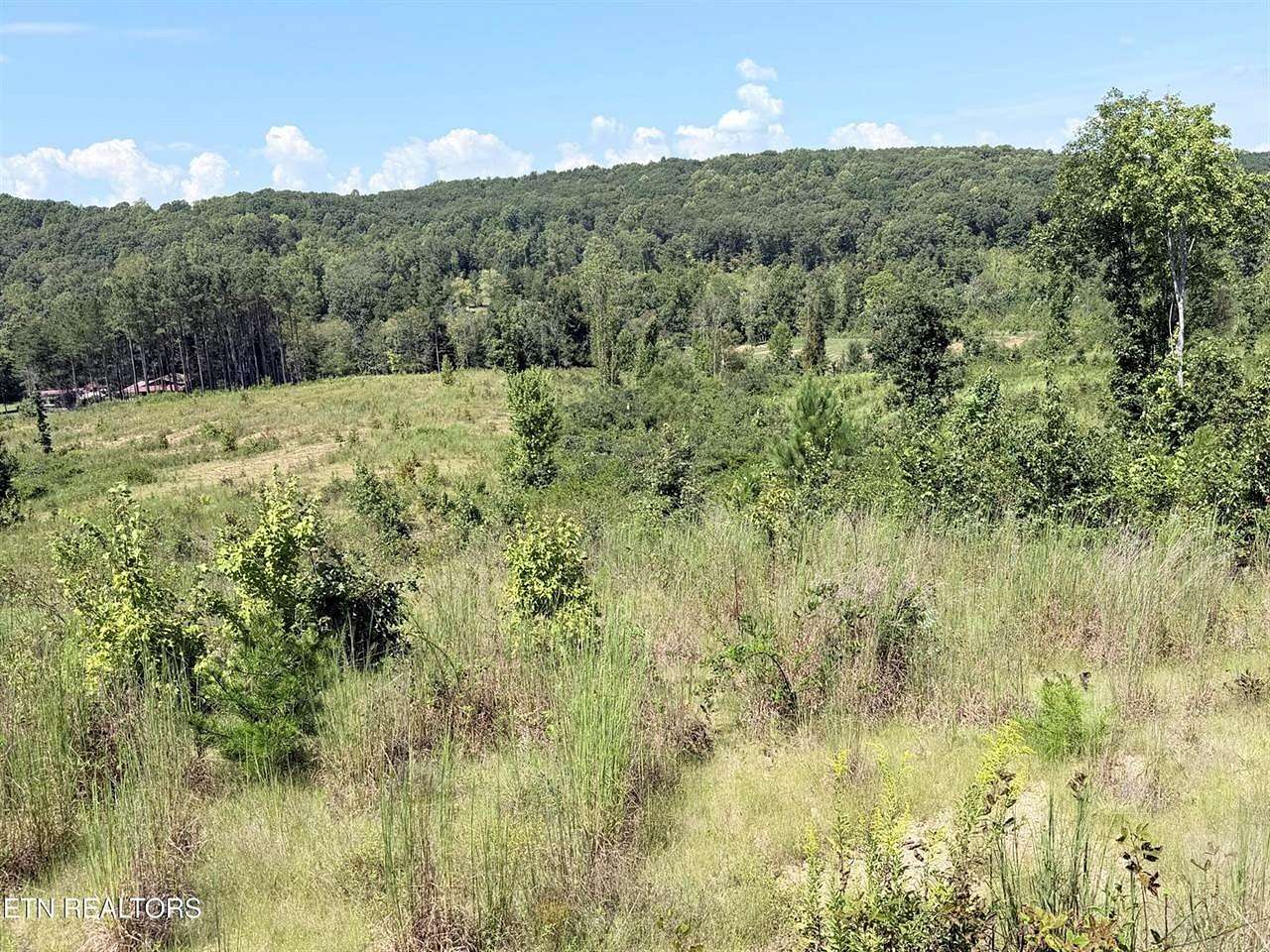 25.3 Acres of Land for Sale in Decatur, Tennessee