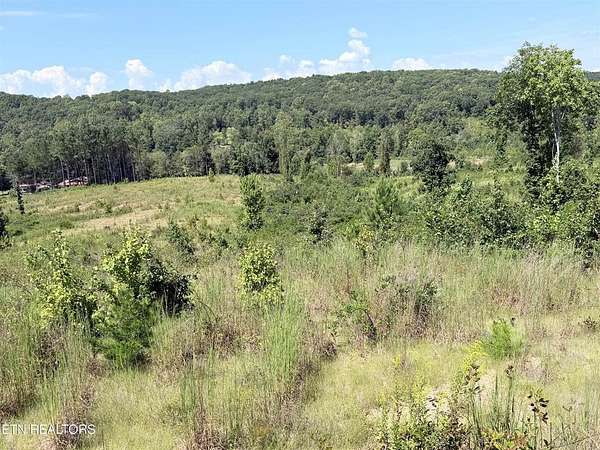 25.3 Acres of Land for Sale in Decatur, Tennessee