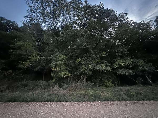10 Acres of Recreational & Residential Land for Sale in Piggott, Arkansas