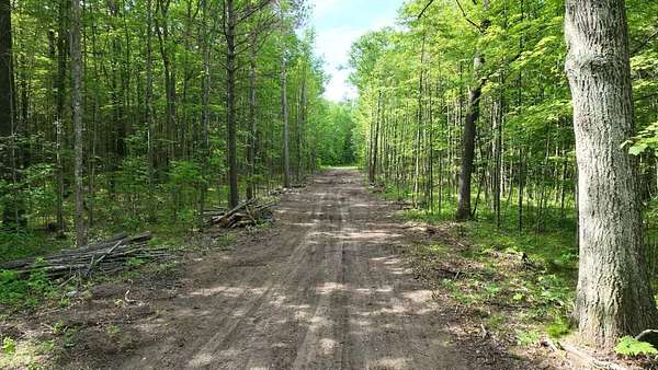 0.98 Acres of Land for Sale in Roscommon, Michigan