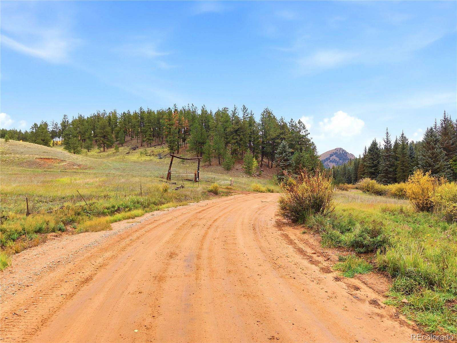 240 Acres of Land for Sale in Divide, Colorado
