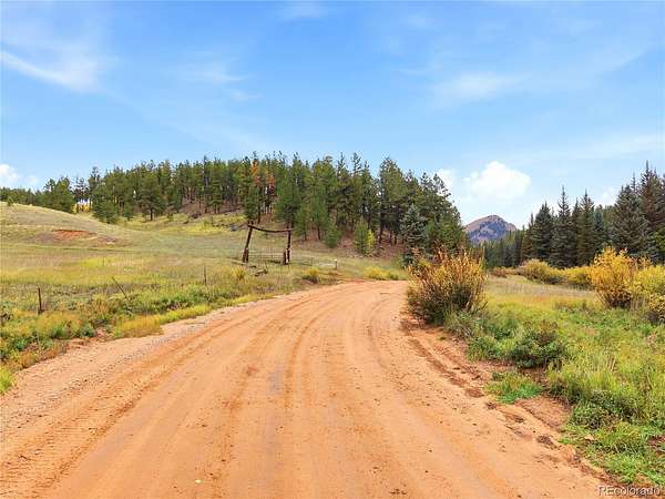240 Acres of Land for Sale in Divide, Colorado