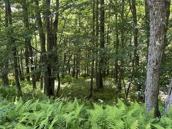 6.67 Acres of Residential Land for Sale in Stamford, New York