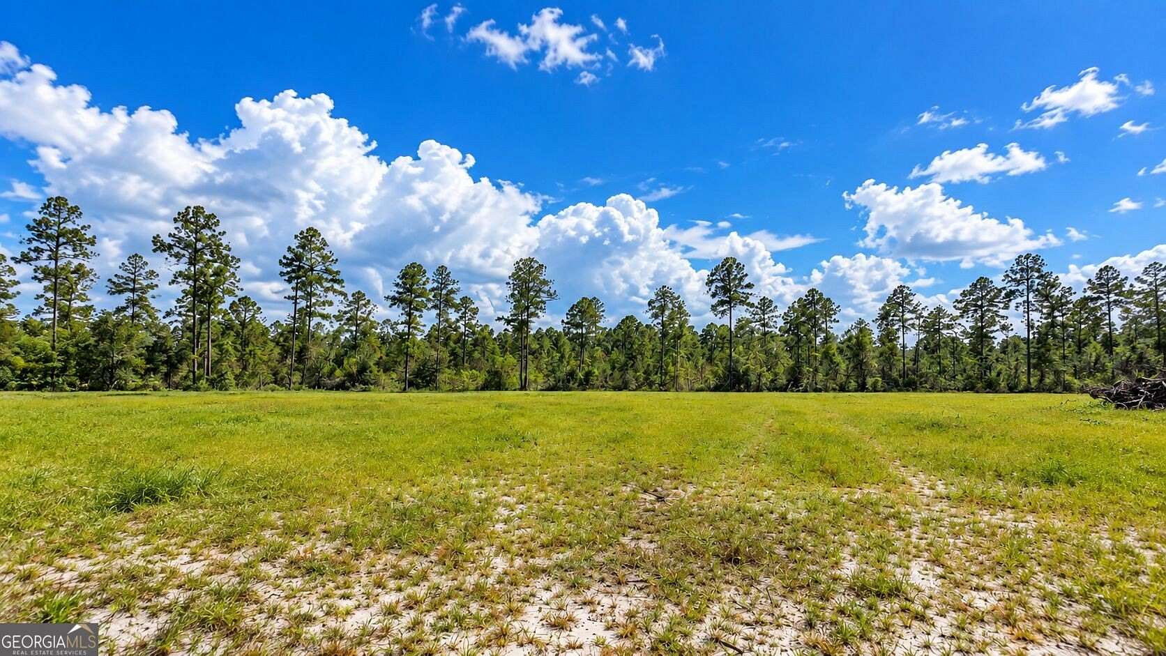 20 Acres of Land for Sale in Folkston, Georgia