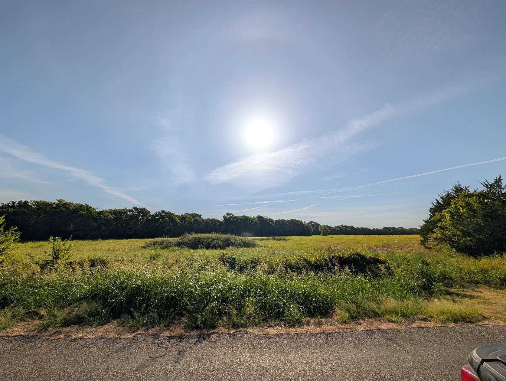 20.2 Acres of Land for Sale in Farmersville, Texas