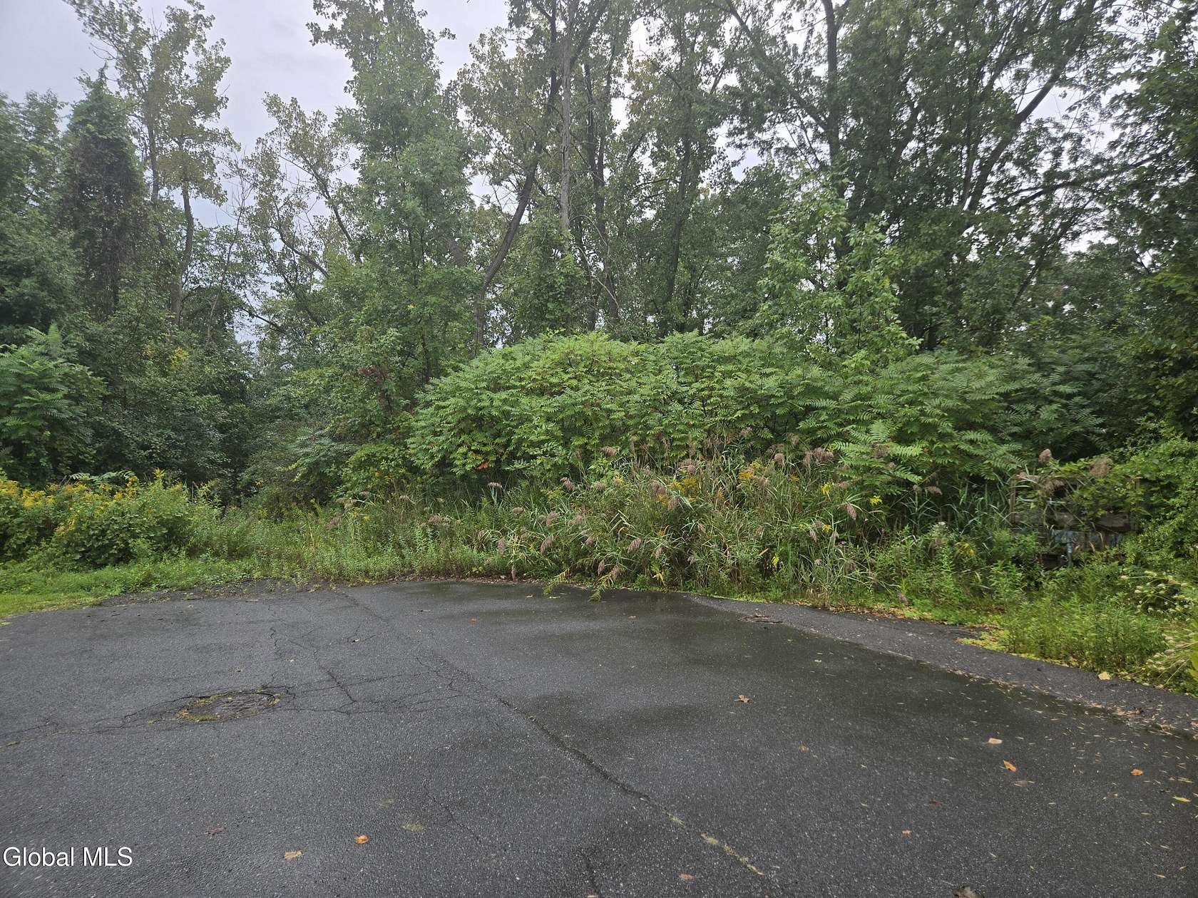 0.77 Acres of Residential Land for Sale in Latham, New York