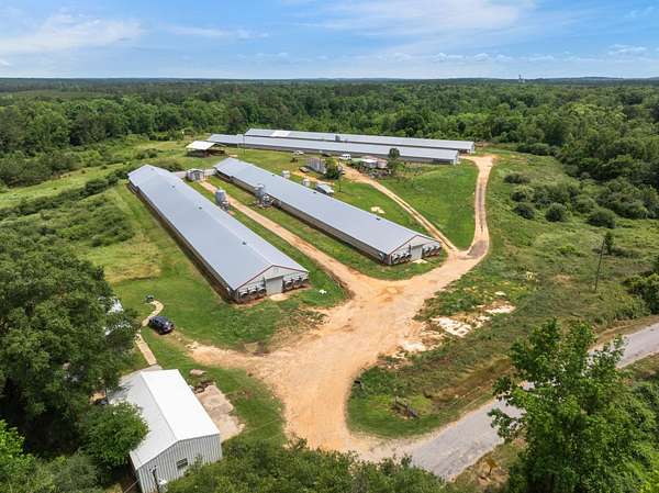 44.8 Acres of Land for Sale in Mount Olive, Mississippi