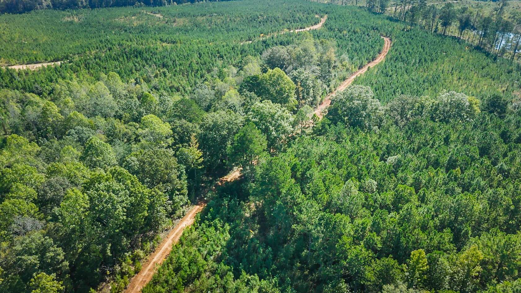 122 Acres of Land for Sale in New Site, Mississippi