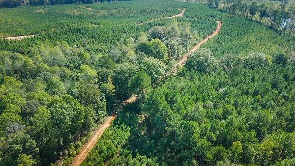 122 Acres of Land for Sale in New Site, Mississippi