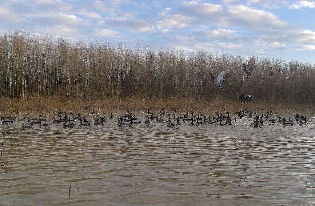 93 Acres of Recreational Land for Sale in Lambert, Mississippi