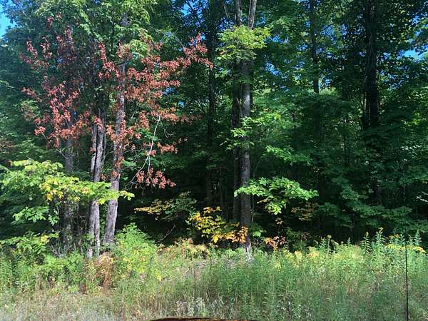 168 Acres of Recreational Land for Sale in Ontonagon, Michigan