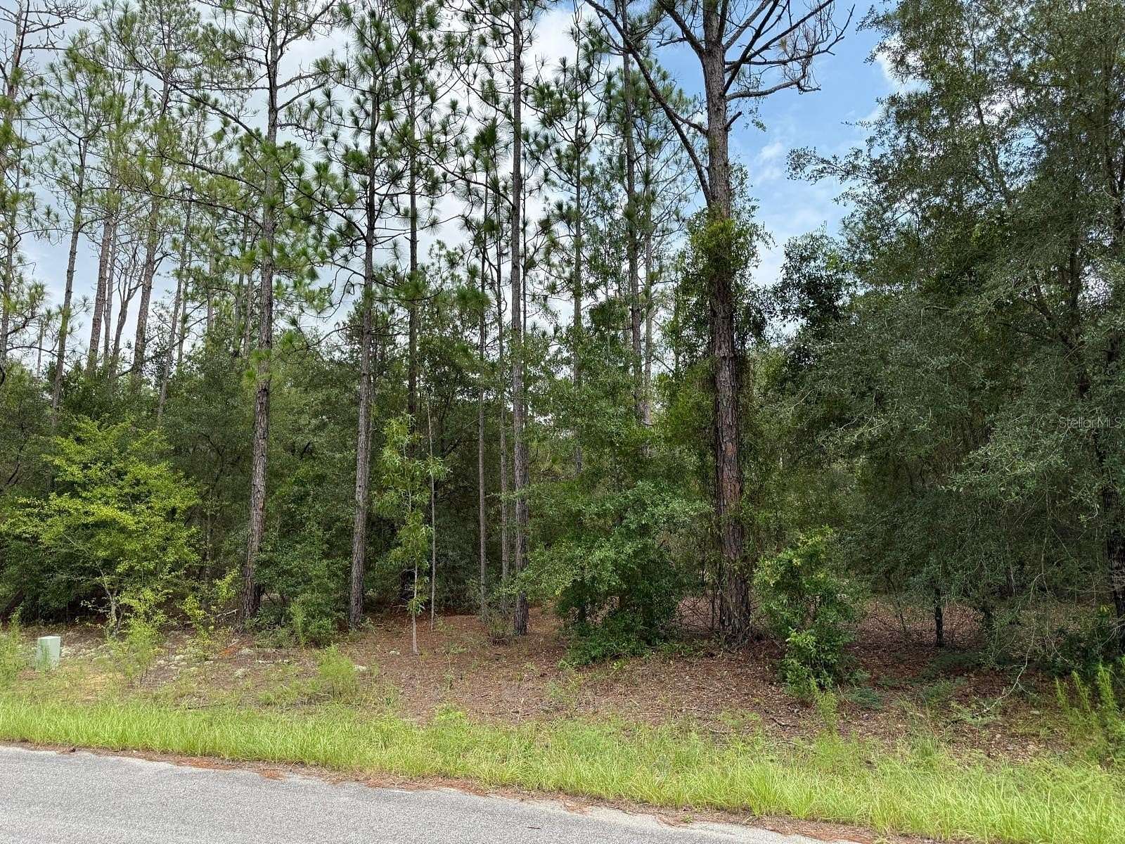 0.35 Acres of Residential Land for Sale in Citrus Springs, Florida