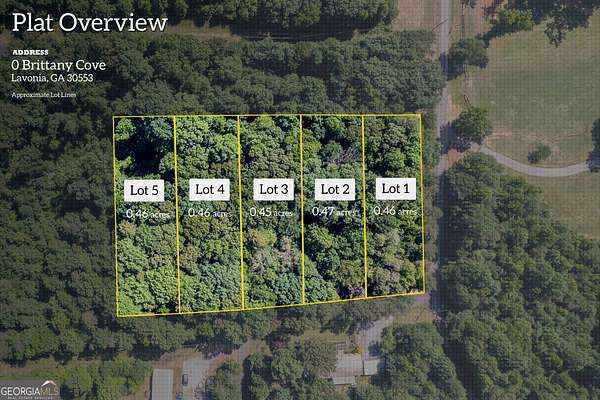 2.3 Acres of Residential Land for Sale in Lavonia, Georgia